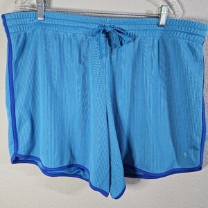 Danskin Now Shorts 3X (22-24W) Aqua/Blue